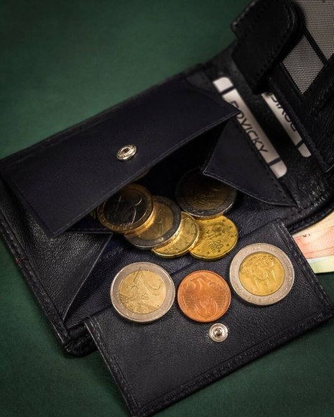 Duży, skórzany portfel męski z systemem RFID - Rovicky Duży, skórzany portfel męski z systemem RFID - Rovicky