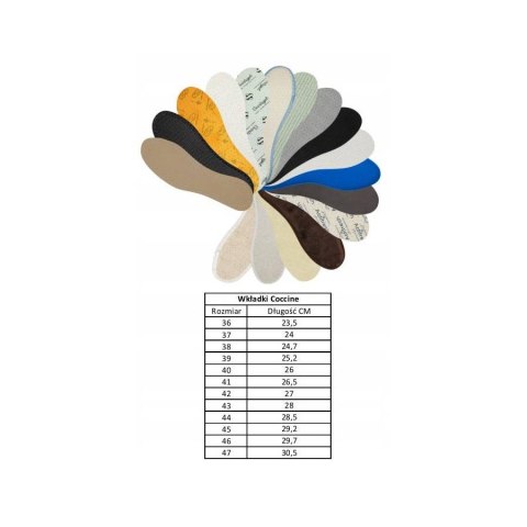 R.41 - Wkładki antybakteryjne Coccine Aroma Silver R.41 - Wkładki antybakteryjne Coccine Aroma Silver