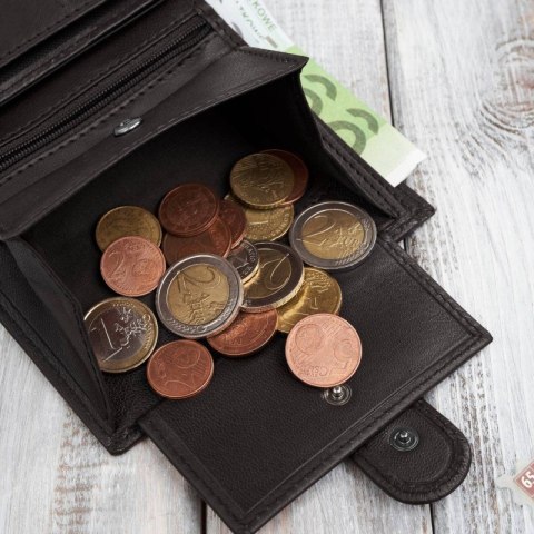 Portfel męski skórzany klasyczny pionowy brązowy z RFID Paolo Peruzzi AL-18-BR Portfel męski skórzany klasyczny pionowy brązowy z RFID Paolo Peruzzi AL-18-BR