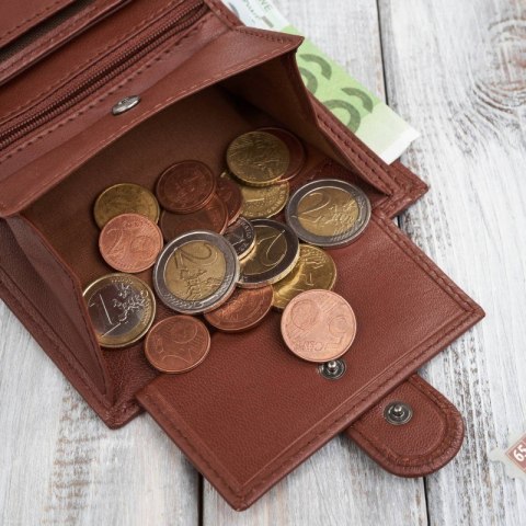 Portfel męski skórzany klasyczny pionowy koniakowy z RFID Paolo Peruzzi AL-18-CG Portfel męski skórzany klasyczny pionowy koniakowy z RFID Paolo Peruzzi AL-18-CG